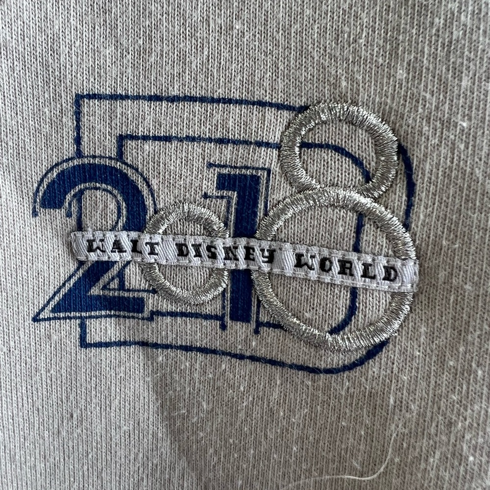 Disney Parks Authentic Gray Sweatshirt